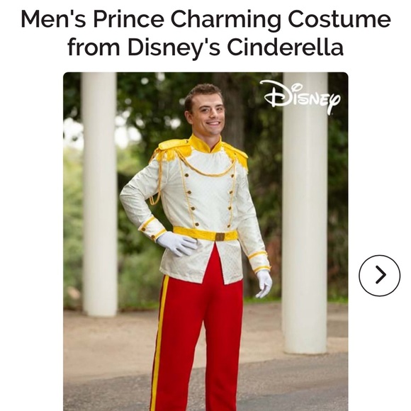 Prince Charming Disney costume - Picture 2 of 6